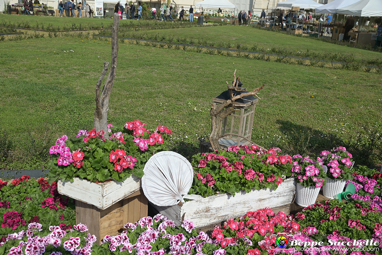 VBS_9050 - Mostra Mercato FloReal 2024.jpg